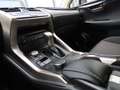 Lexus NX 300 h 1Hd Gris - thumbnail 12