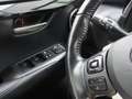 Lexus NX 300 h 1Hd Gris - thumbnail 7