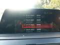 BMW 116 116d Sport Line Sport Line NEUES PICKERL Grau - thumbnail 10