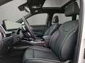 Kia Sorento SORENTO 2.2D AWD PLATINUM PANORAMADACH 7 SITZER Weiß - thumbnail 9