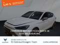 CUPRA Leon 1.5eTSI DSG / Navi, FullLink, LED, ACC, SHZ Weiß - thumbnail 1