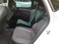 CUPRA Leon 1.5eTSI DSG / Navi, FullLink, LED, ACC, SHZ Weiß - thumbnail 8