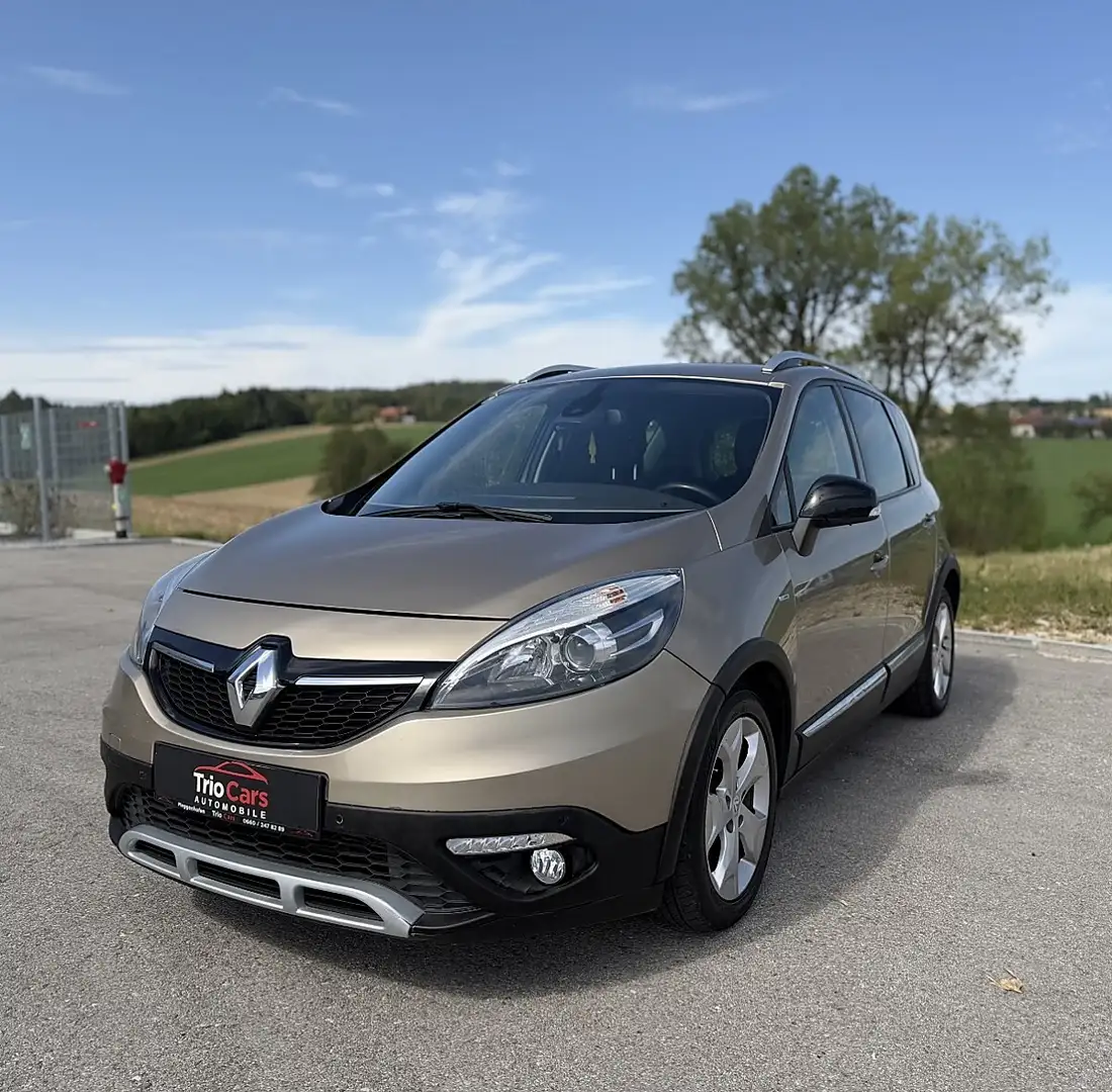Renault Scenic Megane Scénic Braun - 1