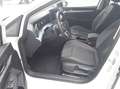 Volkswagen Golf VIII 1.5 TSI Goal DAB+ LightAssist FrontAss Weiß - thumbnail 3