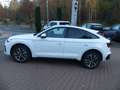 Audi Q5 *40 TDI*Sportback*quattro*S-line*Kam*LED*Pano Weiß - thumbnail 8