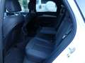 Audi Q5 *40 TDI*Sportback*quattro*S-line*Kam*LED*Pano Weiß - thumbnail 11