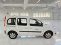 Renault Kangoo 1.5 DCI BLUE Life 5 posti N1 - GC767JH Bianco - thumbnail 4