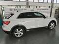 Audi Q3 Q3 35 2.0 tdi Business Advanced s-tronic Blanc - thumbnail 6