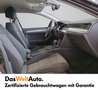 Volkswagen Passat Variant Business TDI DSG Grau - thumbnail 10