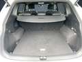 Volkswagen Tiguan Allspace 2.0 TDI DSG 4Motion R-Line AHK N Weiß - thumbnail 14
