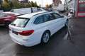 BMW 520 Baureihe 5 Touring 520 d xDrive*HUD*SHZ* Blanc - thumbnail 11