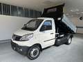 Piaggio Porter NP6 TW CHAS 300 SR LPG START PASSO 3000 - 260X180 Weiß - thumbnail 1