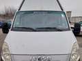 Iveco Daily vendo iveco furgone 35s15 Blanc - thumbnail 5