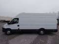 Iveco Daily vendo iveco furgone 35s15 Weiß - thumbnail 1