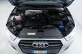 Audi Q3 2.0 TDi Business Quattro 150CV S-TRONIC Gri - thumbnail 14