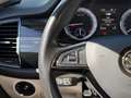 Skoda Kodiaq 2,0 TDI SCR Style Limited DSG Blau - thumbnail 36