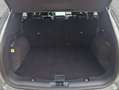 Ford Kuga 2.5 Duratec FHEV ST-LINE X*NEUES MODELL* Argent - thumbnail 5