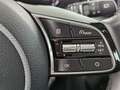 Kia XCeed Xceed 1.5 T-GDI Platinum Edition LEDER+NAVI+AHK+ Silber - thumbnail 28