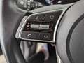 Kia XCeed Xceed 1.5 T-GDI Platinum Edition LEDER+NAVI+AHK+ Silber - thumbnail 27