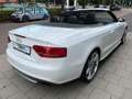 Audi A5 Cabriolet 3.0 TFSI S5 quattro Pro Line, Nw. Staat Blanc - thumbnail 10