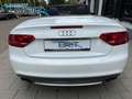 Audi A5 Cabriolet 3.0 TFSI S5 quattro Pro Line, Nw. Staat Blanc - thumbnail 11