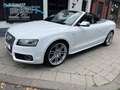 Audi A5 Cabriolet 3.0 TFSI S5 quattro Pro Line, Nw. Staat Blanco - thumbnail 5