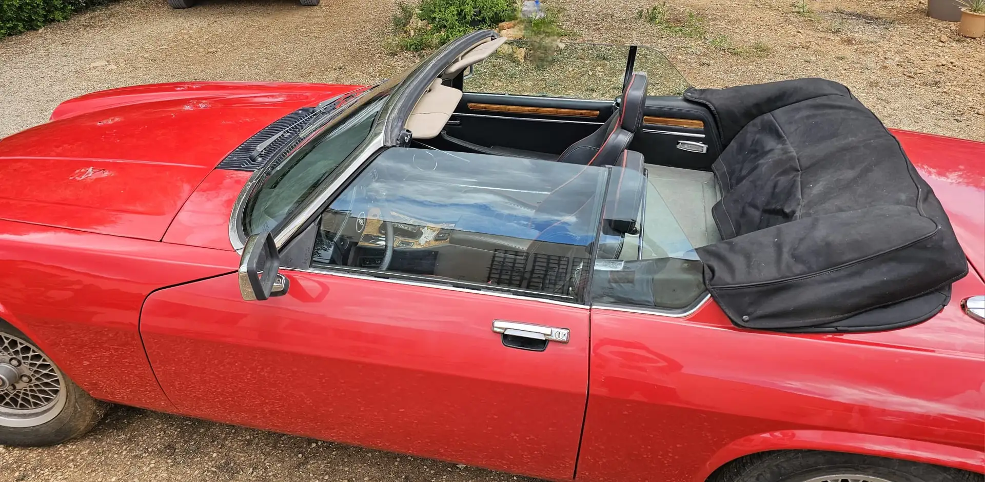 Jaguar XJSC XJS Convertible 5.3 V12 - 1