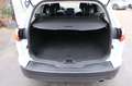 Ford Focus Turnier 1.6 Titanium NAVI SHZ SCHECKHEFT Blanc - thumbnail 9