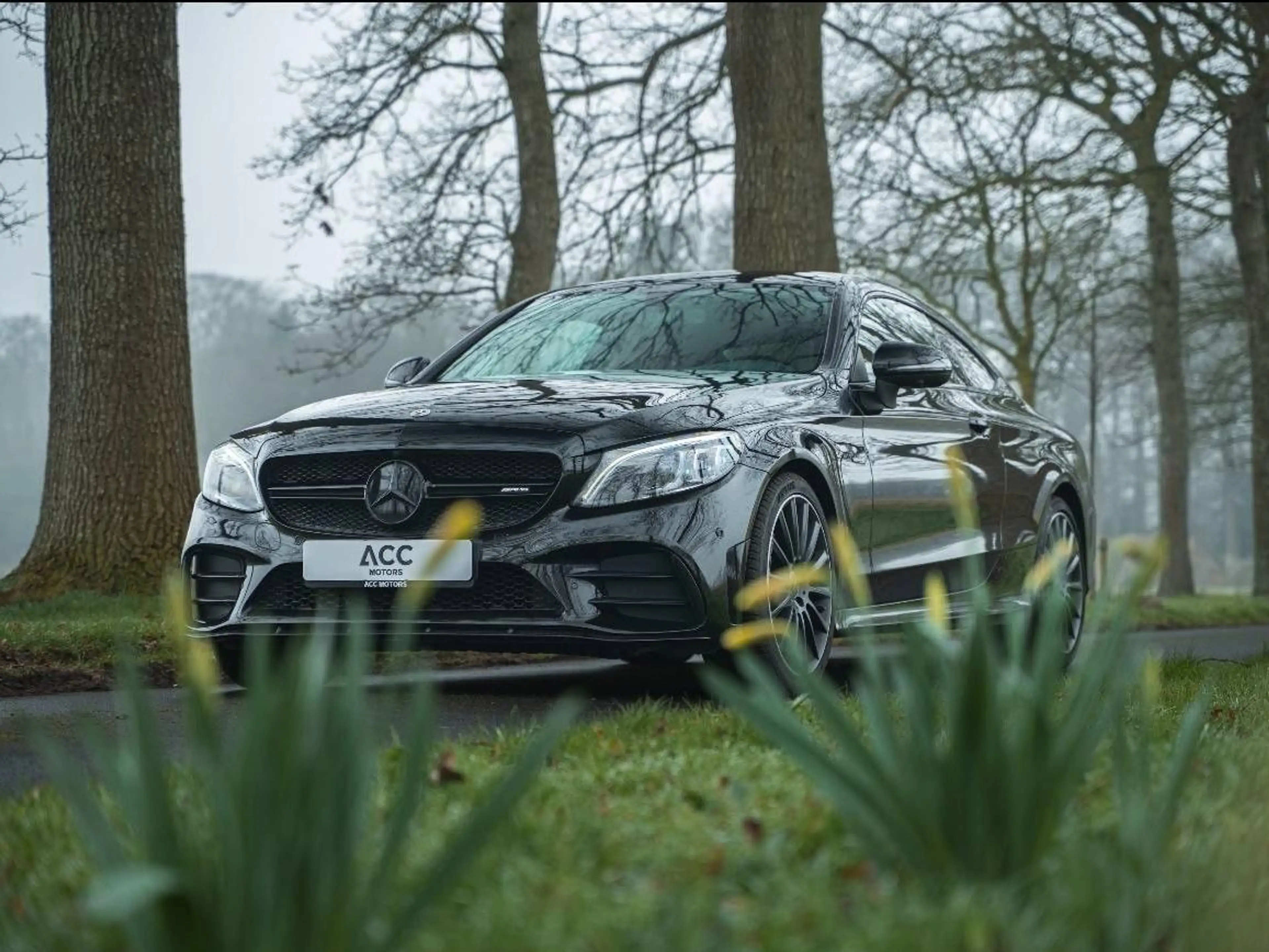Mercedes-Benz C 43 AMG Coupe C 43 AMG 4-Matic — photo 3