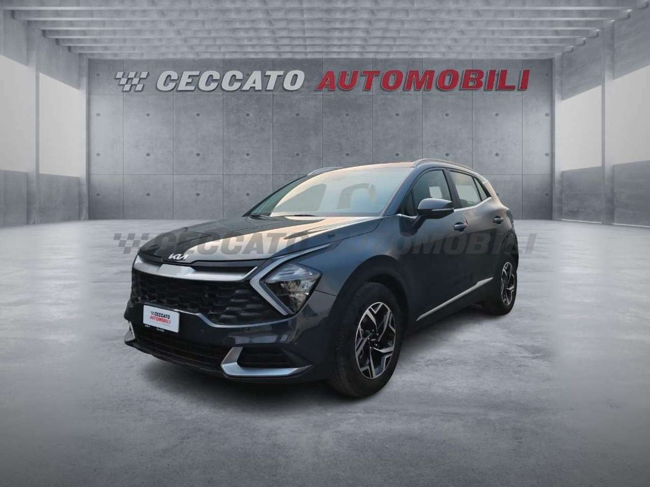 Kia Sportage Sportage 1.6 crdi mhev Business dct
