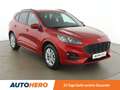 Ford Kuga 2.5 Plug-in Hybrid ST-Line X Aut. *LED*ACC*AHK*B&O Rot - thumbnail 8