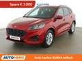 Ford Kuga 2.5 Plug-in Hybrid ST-Line X Aut. *LED*ACC*AHK*B&O Rot - thumbnail 1
