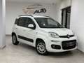 Fiat Panda 1.3 mjt Lounge s&s 95cv Wit - thumbnail 2
