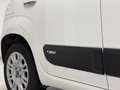 Fiat Panda 1.3 mjt Lounge s&s 95cv Wit - thumbnail 5