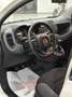 Fiat Panda 1.3 mjt Lounge s&s 95cv Wit - thumbnail 8