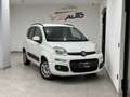 Fiat Panda 1.3 mjt Lounge s&s 95cv Wit - thumbnail 3