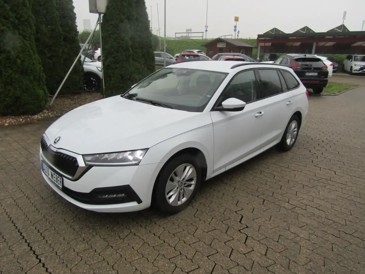 Skoda Octavia 1.0 TSI Combi Ambition AHK LED SHZ GRA FSE PDC Blanc - 2