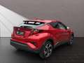 Toyota C-HR Hybrid Team D Rot - thumbnail 4
