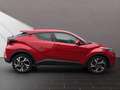 Toyota C-HR Hybrid Team D Rot - thumbnail 5