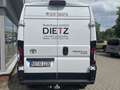 Toyota Proace 42 L3H2 Heavy Elektromotor 279 Meister Weiß - thumbnail 5
