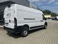 Toyota Proace 42 L3H2 Heavy Elektromotor 279 Meister Weiß - thumbnail 4