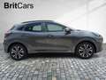 Ford Puma ST-Line X LED+Navi+Kamera+Winterpaket Grau - thumbnail 6