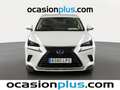 Lexus NX 300 300h Business 2WD Blanco - thumbnail 16