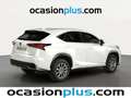 Lexus NX 300 300h Business 2WD Blanco - thumbnail 4