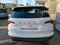 Skoda Karoq Style 1,0 TSI  "Anhängerkupplung, LED-Matrix" Blanc - thumbnail 3