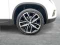 SEAT Ateca Xcellence 2.0 TDI 4Drive Weiß - thumbnail 6