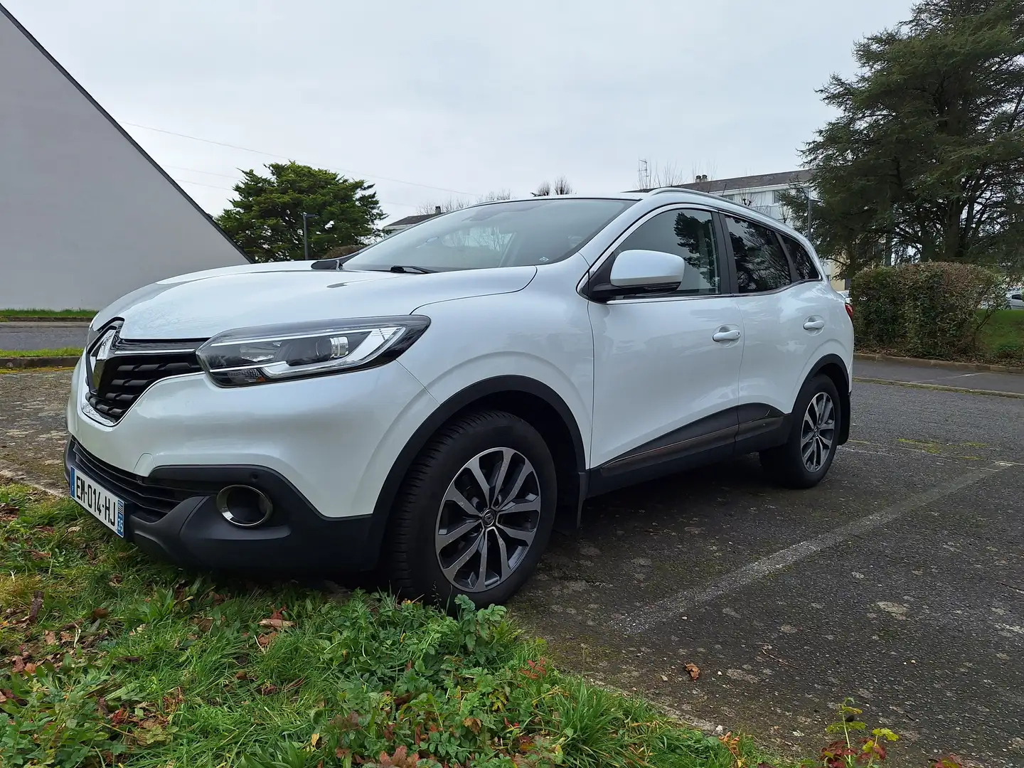 Renault Kadjar dCi 110 Energy eco² Business Blanc - 1