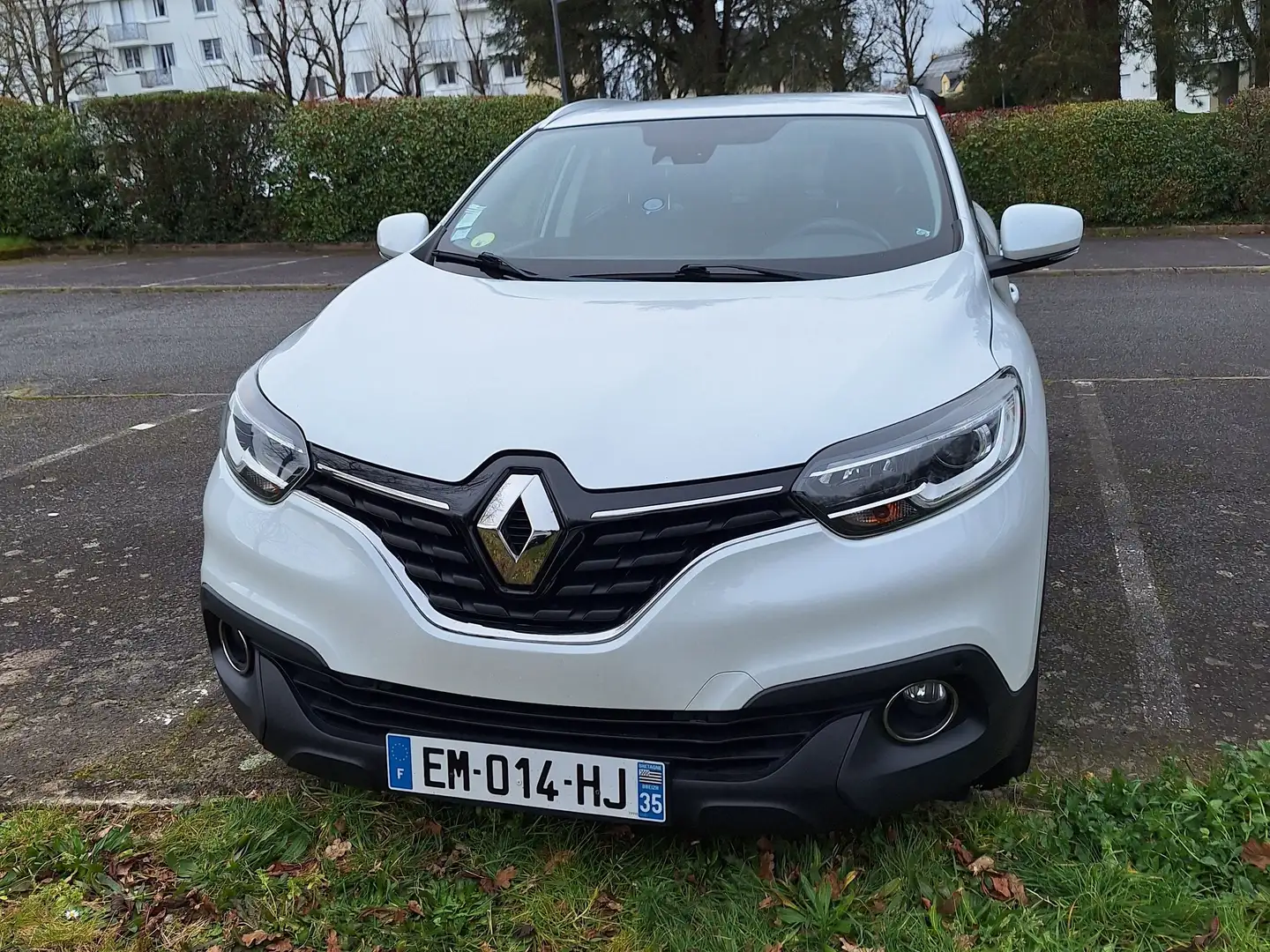 Renault Kadjar dCi 110 Energy eco² Business Blanc - 2