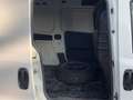 Fiat Doblo cargo 1.6 mjt 16v SX 105cv 3p.ti E6 Bianco - thumbnail 13