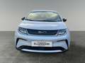 BYD Dolphin Comfort MY2025 Weiß - thumbnail 8